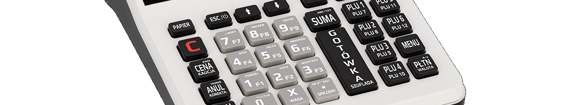 Kasa fiskalna Online DATECS WP-25