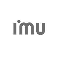 IMU